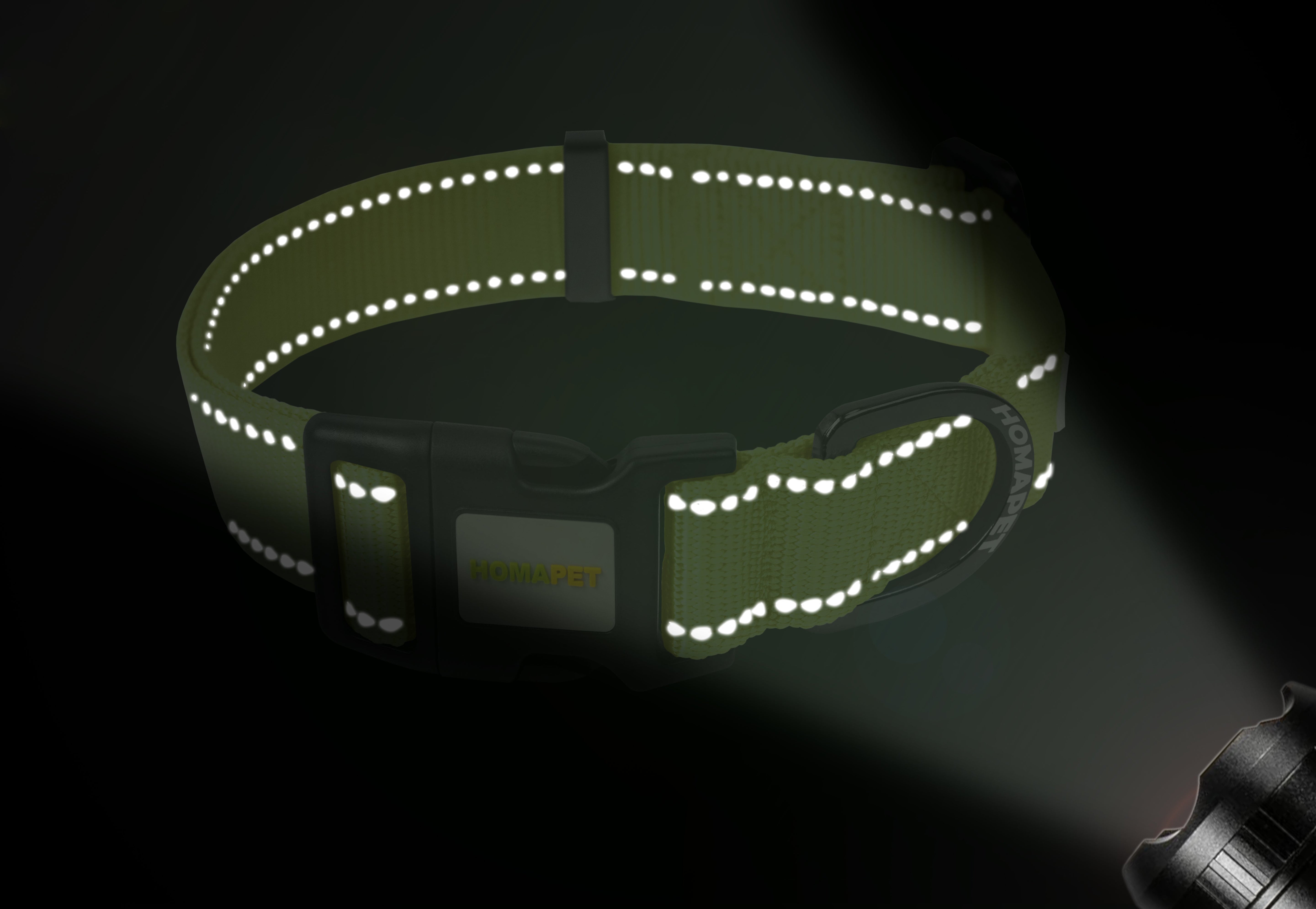 F S Green Nylon Dog Collar