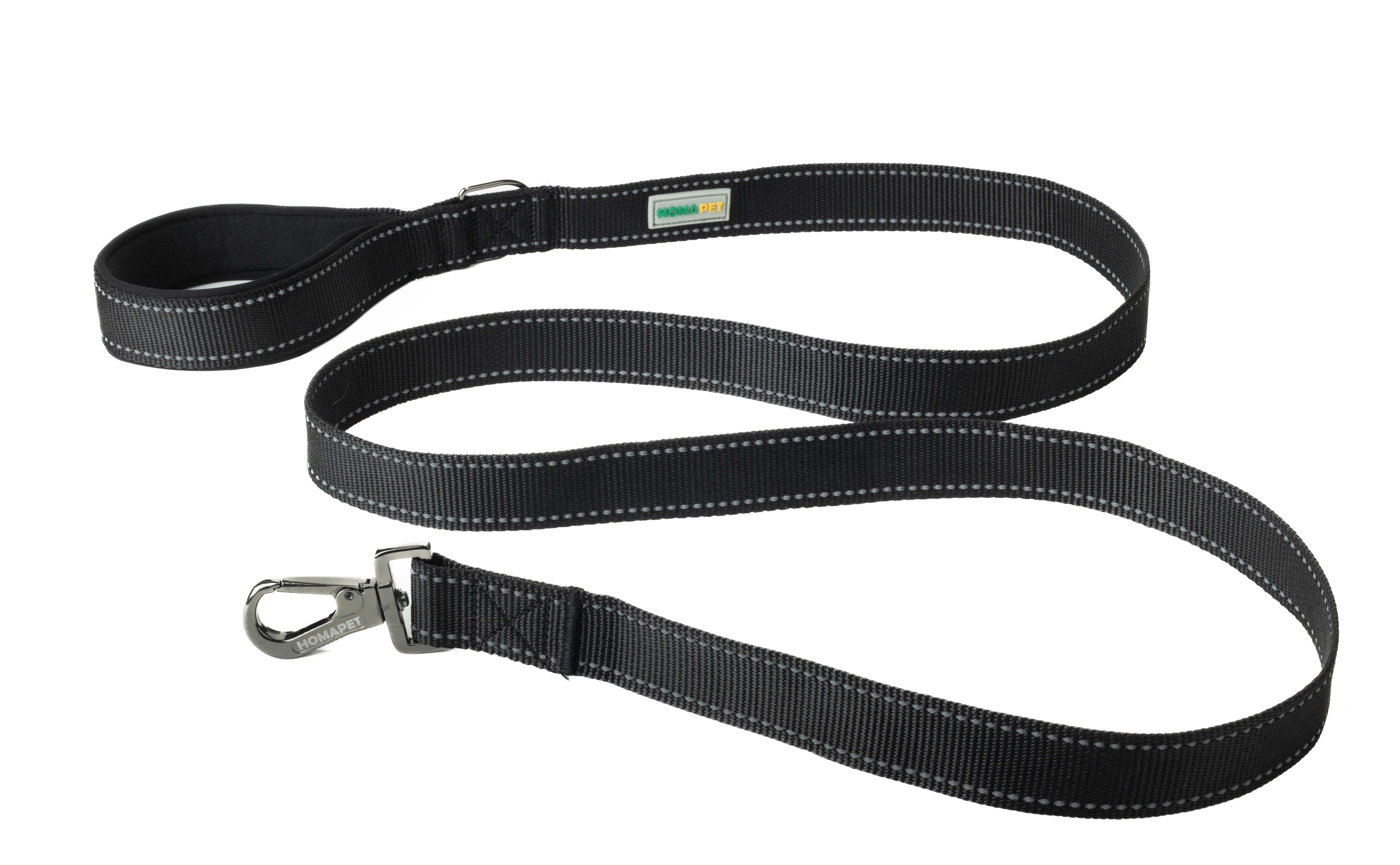 Black Flat Nylon Dog Leash