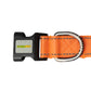 Orange Nylon Dog Collar