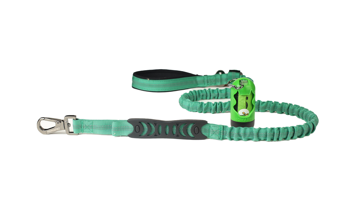 Poly Green Nylon Full Bungee Dog Leash