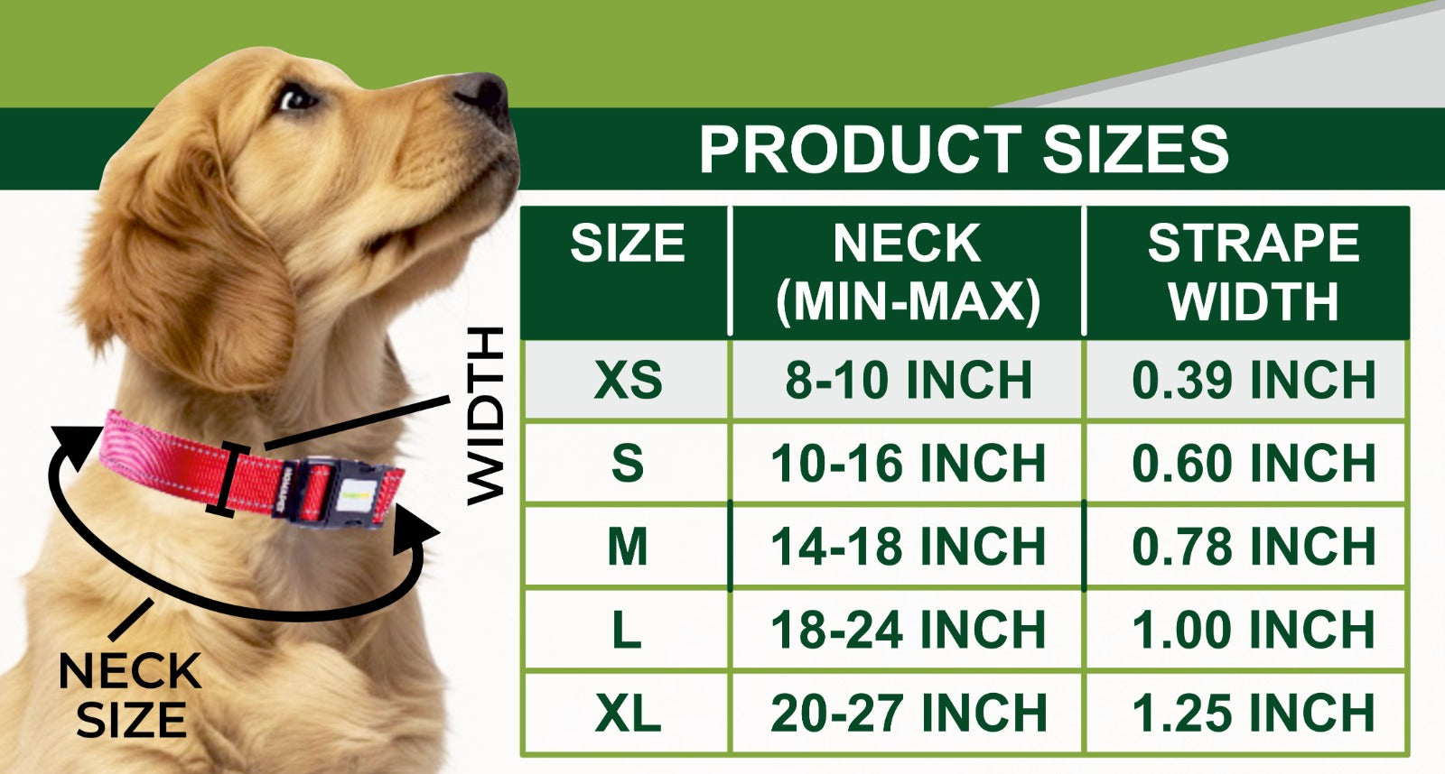 Light Grey Nylon Dog Collar